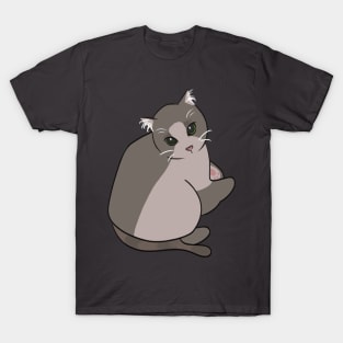 Chonky cat looking up T-Shirt